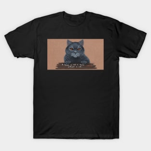 A house is not a home without a cat T-Shirt